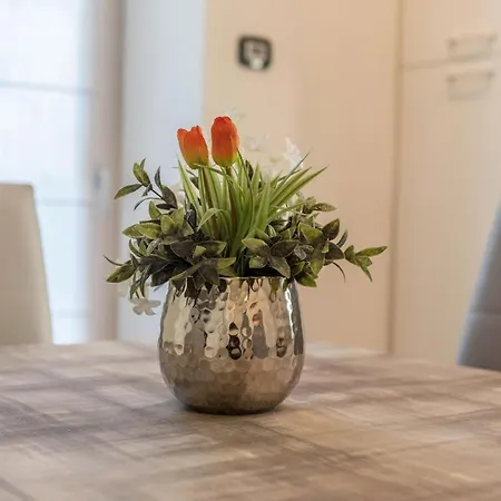 Apartment Vacanze Renetta Tuenno